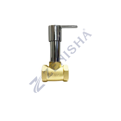 Flush Valve With Flange